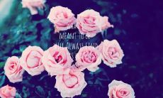 与好友欢笑的句子，愉快聚会的心情词汇