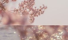 享受幽默的欢乐氛围，带来快乐开心的句子