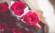 浪漫七夕，分享唯美短句，让你感受爱的温度