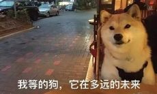 七夕即将到来，让我们倾诉孤独情感：一些表达孤单心情的短语