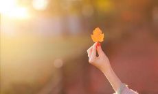 立秋来临，分享各种表达心情的短语大全