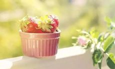 用优美的词汇描绘春天的独特魅力：沁人心脾的自然之美在这个季节绚烂绽放！