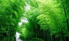 哀婉动人的分别文字，让心扉痛彻心扉