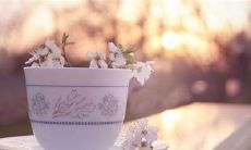 兄弟别离时说出感恩和祝福的动人话语：让我们继续我们的拼搏之路，相信未来一定会更加充满希望与机遇！