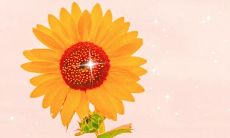 分享那些关于温暖春日的美丽句子，让你的朋友圈洋溢着温馨与愉悦之感！