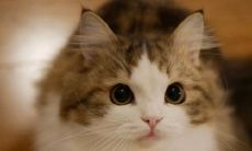 每天享受快乐、激励心灵的积极能量句子集合