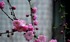 如何用简单的句子轻松获得幸福：探究开心的基本原则