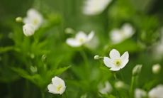 如何表达在亲情关系中被彻底隔离的感受？