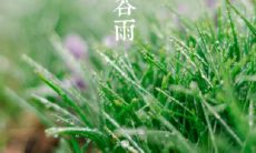 用唯美的文句描绘谷雨：细腻、恬静而又绚烂的降雨，美不胜收