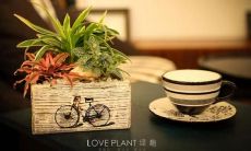 最具打动人心的亲情句子，一定会让你感同身受，激发深刻情感共鸣