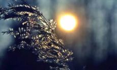 在炎炎夏日，祝福亲朋好友健康养生的短信