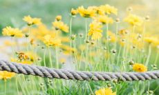 血缘关系所包含的、彰显亲情浓郁的那句话