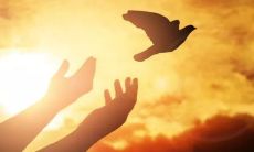 在寒冷的冬季里，温暖的阳光带来的仅仅是短暂的励志，难道我们应该忘记它的价值吗？