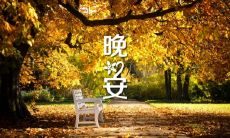 探寻那些引人入胜、深度感人的晚安说说，让你在入眠前沉醉其中