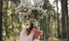 不住内心澎湃想唱响，包罗万象的竞赛格言和口号大合集，鼓舞人心，震耳欲聋！