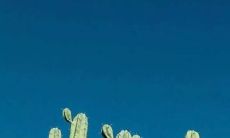 短暂而永恒的血脉相连，延续着亲情情感的句子