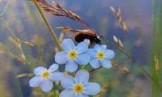 班级比赛口号汇总，涵盖丰富元素，表达宏伟口号，彰显浑然天成霸气十足特质！