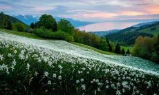 初一班级：我们的口号不只是简单的宣言，它还富有诗意、流畅押韵！