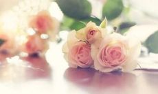 增强情商的心理健康益处：如何通过分享早安情话来开始美好的一天