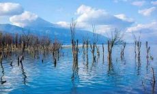 七字霸气、富含押韵的保险标语，打响你的品牌形象！