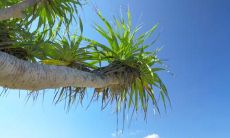 欧洲豪华车之王 - 奔驰汽车，以卓越技术和无限创新为口号，引领时代潮流！