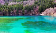 ——从德国工匠精神到卓越品质的奔驰汽车品牌形象口号探析