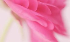 友情是一种持久不变的情谊,能够贯穿时间和距离的话语