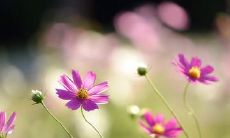 友谊万岁:当真正的友谊比任何其他事情都更重要时