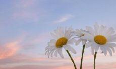 、感人,让你深切感受友谊的重要性和美好,令人动容的友情赞美语句