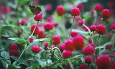 一副友情的艺术画卷中嵌入了精美的文艺句子,倾诉着内心流淌的情感与思绪