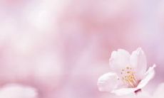 “一探人品、金钱和友情之间的复杂关系:探究这三者之间的互动和影响”的标题