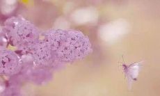 展示超市口号的完整大全：霸气十足！