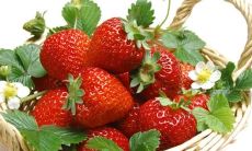 在采摘草莓时畅快快乐的心情，能够带给我们无限的喜悦与满足感