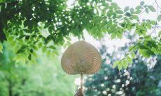 放弃那些不懂得感恩的人，让我们无悔追寻自己的美好句子和生活！