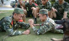 重温老山战友情：一组经典句子，难忘共同经历与珍贵友谊