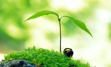 常怀感恩之心，珍惜工作的心灵箴言