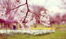 感恩有你，让我成长并拥有美好回忆的句子集锦