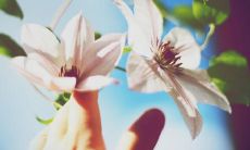 感人，让人心旷神怡的句子，表达亲情与友谊的美好情感