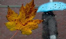 当天气变化时，你应该如何用短信问候客户？