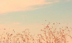 探讨在年少时期所建立的青春友情：美妙时光中，留下难忘情感的表达