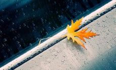 探讨创意的友情：我们共同构建的奇思妙想世界