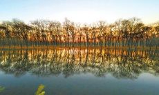 如何用浪漫句子表达友情？分享美好心情的启示