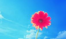 铸就牢固友谊的珍贵语句