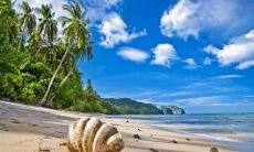 疲惫不堪心情低落：如何用语言准确地表达自己感受到的身体疲劳和心理疲惫？