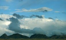 如何在短信中用恰当的措辞向婆婆表达问候和尊敬？