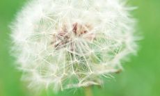 100多个可以做比较的句子短句大合集，适用于写作、演讲和表达思想的场合