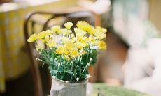 分享自己心情的句子，展现愉悦阳光的情绪状态