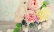 如何通过一些温馨浪漫的话语来哄女朋友开心，让她感到被爱和关心？