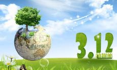 回顾中国植树节的过去与现在：分享312植树节的感受和理念