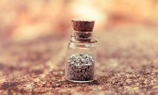 谨记亲情缘分，珍惜如同稀世珍宝的亲情句子，描绘唯美感悟